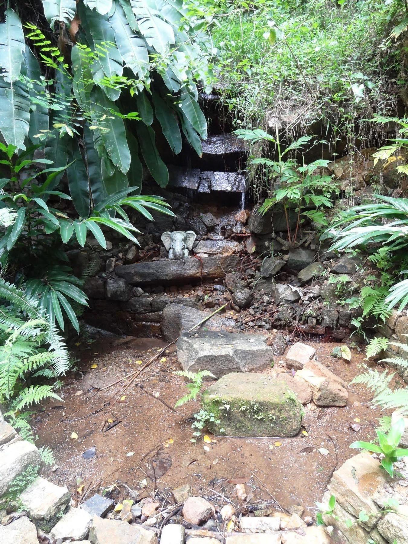 Strathisla Tea Estate Bungalow Matale Exterior foto